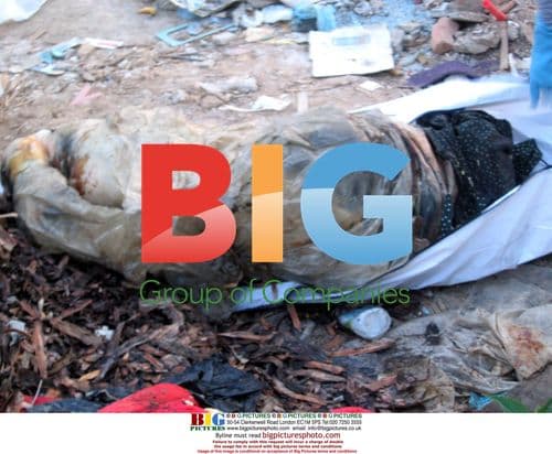 Journalist Accused of Murders Dies in Prison