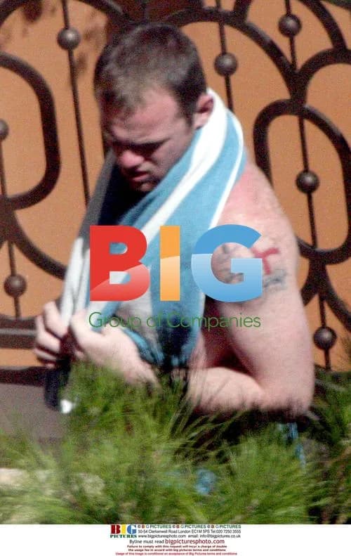 Rooney Honeymoon in Vegas