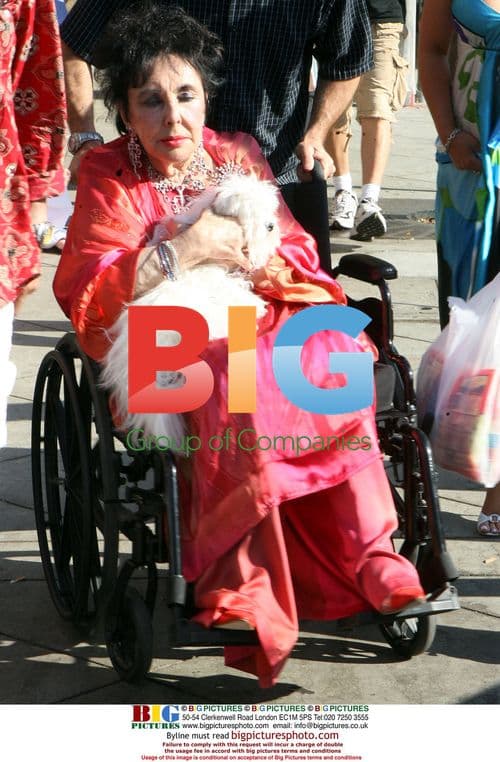 Elizabeth Taylor celebrates CA Gay Marriage