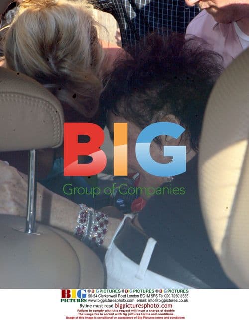 Elizabeth Taylor Celebrates Gay Marriage Legalization