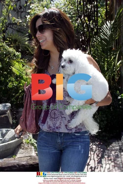 Eva Longoria leaving Ken Paves Salon