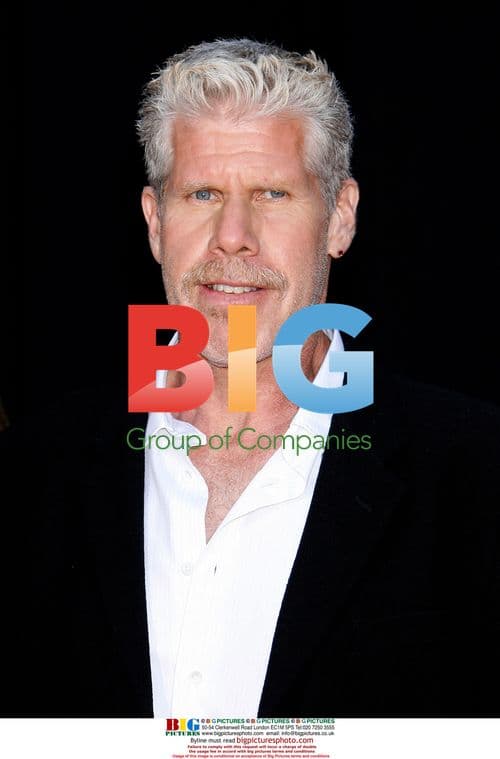 Ron Perlman at Hellboy II Premiere