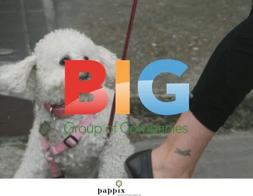 Sadie Frost takes dog Ringo for a walk in London