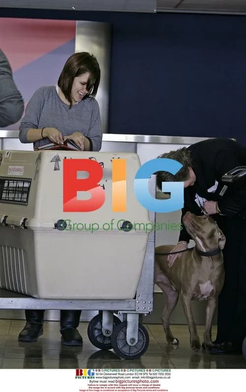 Sophia Bush reunites with blind dog Patch