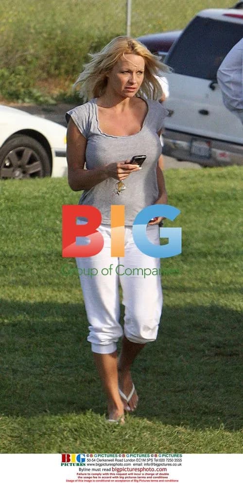 Pamela Anderson Picks Up Sons After Baseball Game
