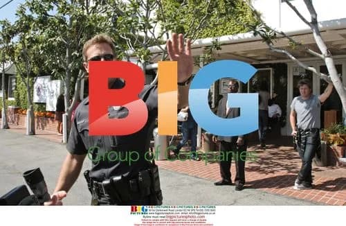 Paris Hilton goes shopping with bodyguard