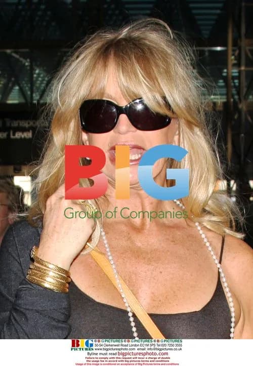 Goldie Hawn Departing LA Airport