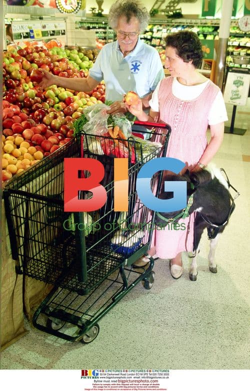 Blind woman has guide pony instead of dog