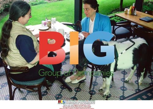 Blind Woman Adopts Miniature Guide Pony