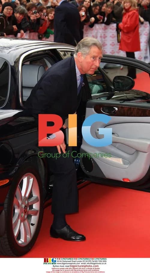 Prince Charles at Prince's Trust Awards