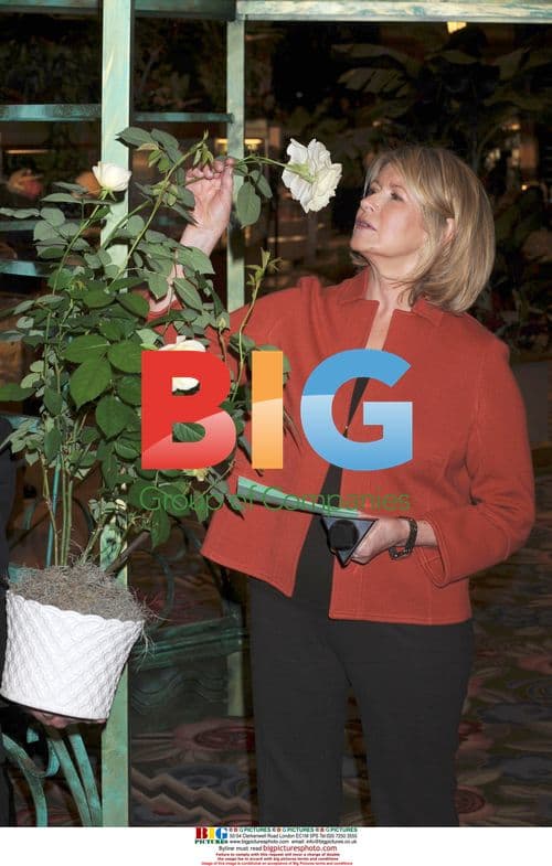 Martha Stewart Signing New Book at Macy's