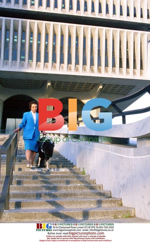 Blind woman tries miniature guide pony