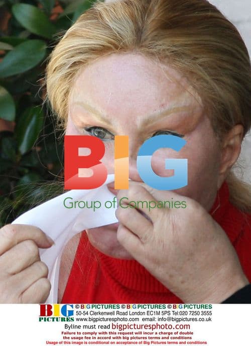 Jocelyn Wildenstein and Lloyd Klein Lunch