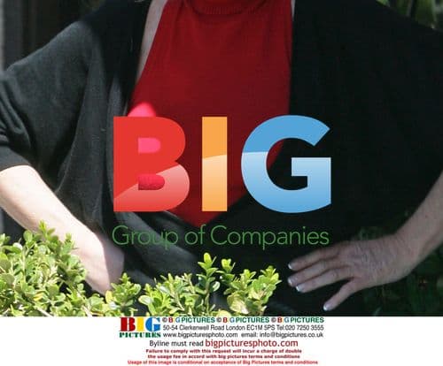 Jocelyn Wildenstein Has Lunch With Boyfriend Lloyd Klein