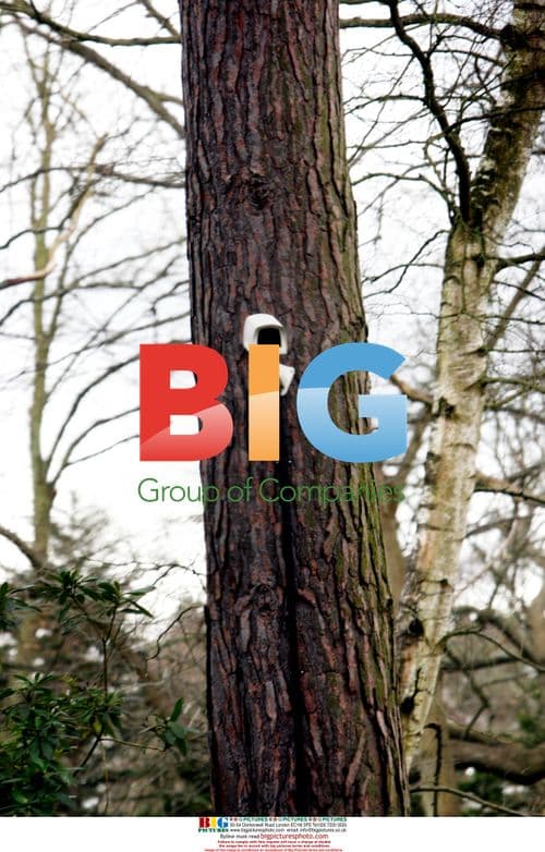 Prince Naseem's New Home with CCTV