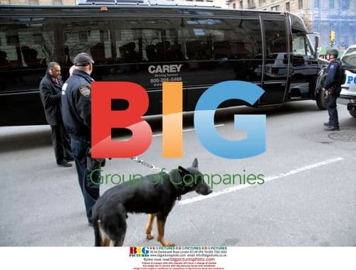 Cecilia Ciganer-Albeniz and Richard Attias Out in NYC