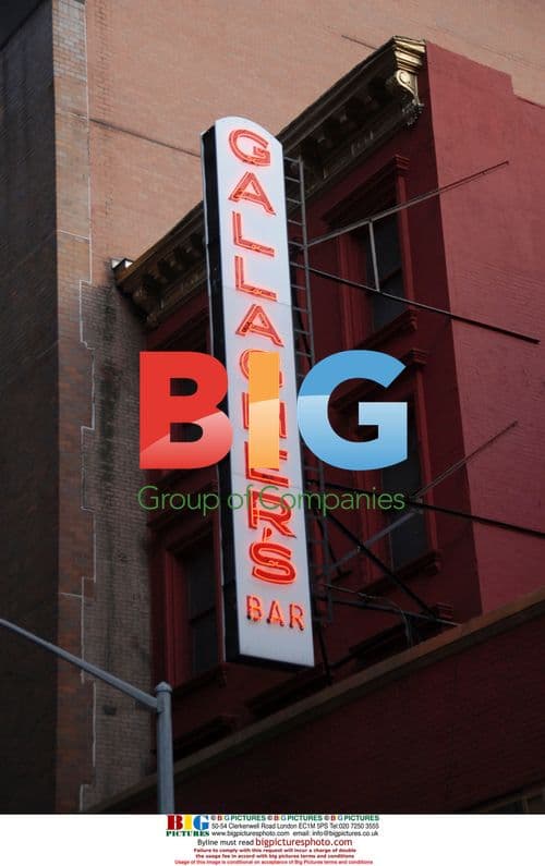 Cecilia Ciganer-Albeniz and Richard Attias Out in NYC