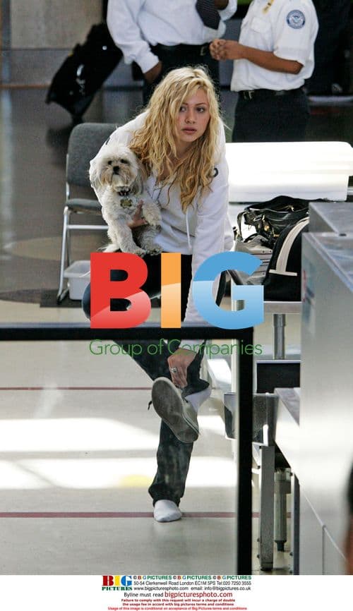 Aly Michalka Departs LAX with Dog
