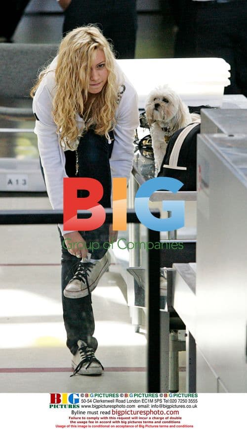 Aly Michalka Departs LAX with Dog, Poses for Fan