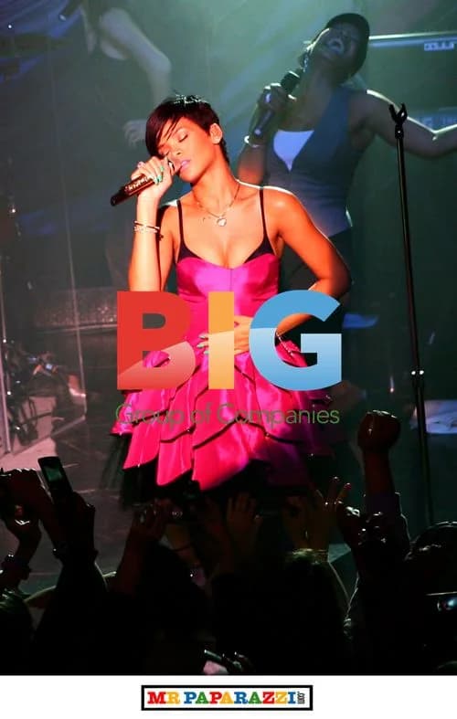 Rihanna performs at charity concert in Chicago
