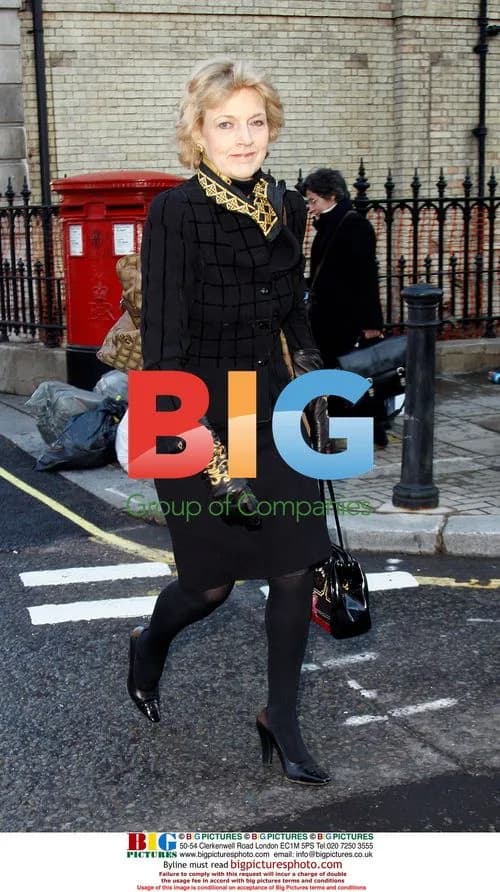 Sir Paul McCartney's divorce lawyer