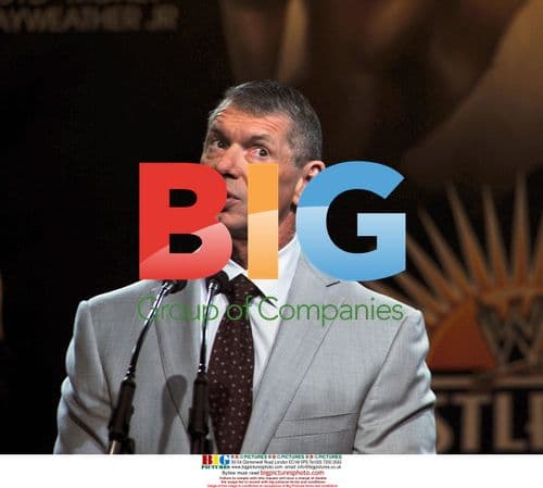 Vince McMahon at WrestleMania XXIV Press Conference