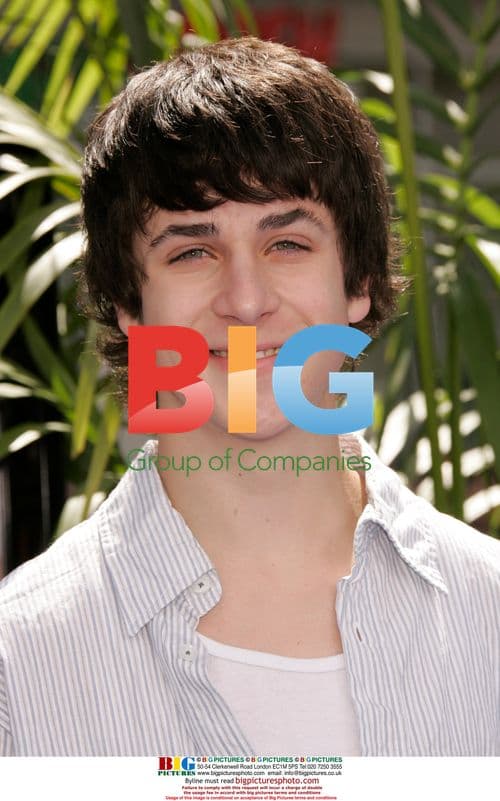 David Henrie at 'Nim's Island' Premiere