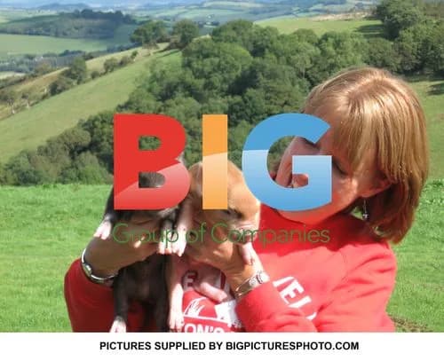 Charlotte Church with Chubby Pigs
