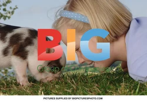 Charlotte Church with Miniature Pigs