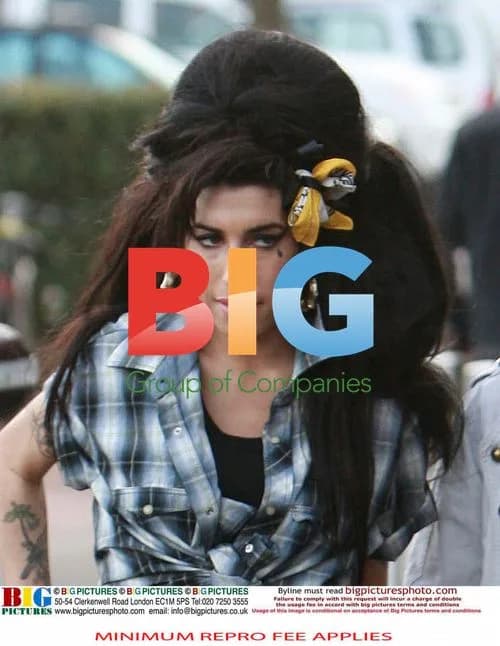Amy Winehouse Troubles