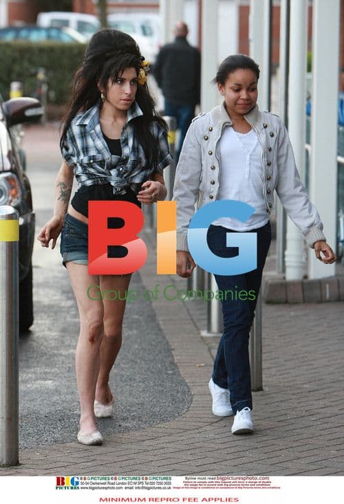 Amy Winehouse Struggles with Bond Theme