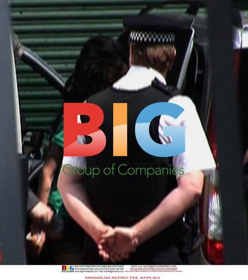 Amy Winehouse Arrested in London