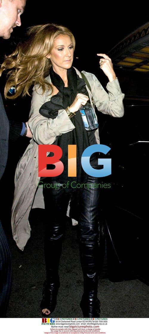 Celine Dion at London Hotel After Concert