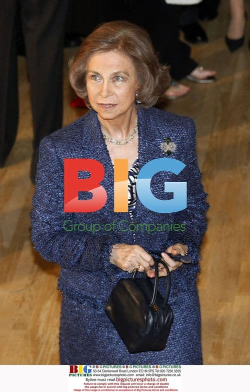 Queen Sofia attends Caixa scholarship event