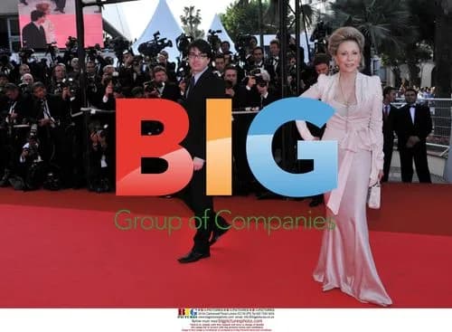Faye Dunaway at 'Blindness' Cannes Premiere