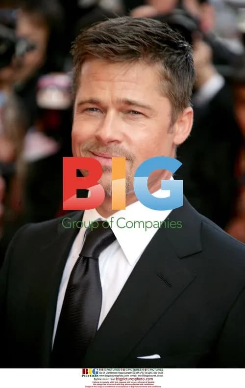 Brad Pitt at Kung Fu Panda Premiere