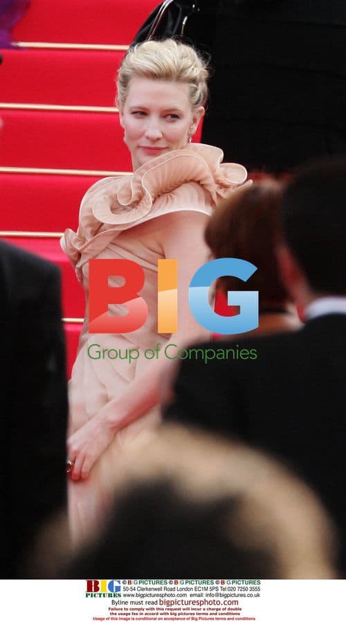 Kate Blanchet at Cannes Film Festival