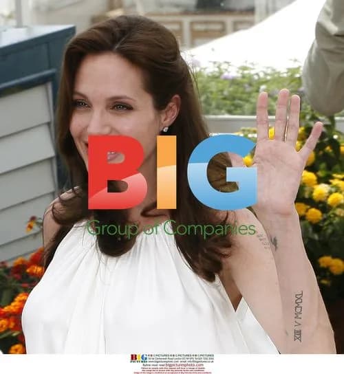 Dustin Hoffman, Angelina Jolie & Jack Black at Cannes