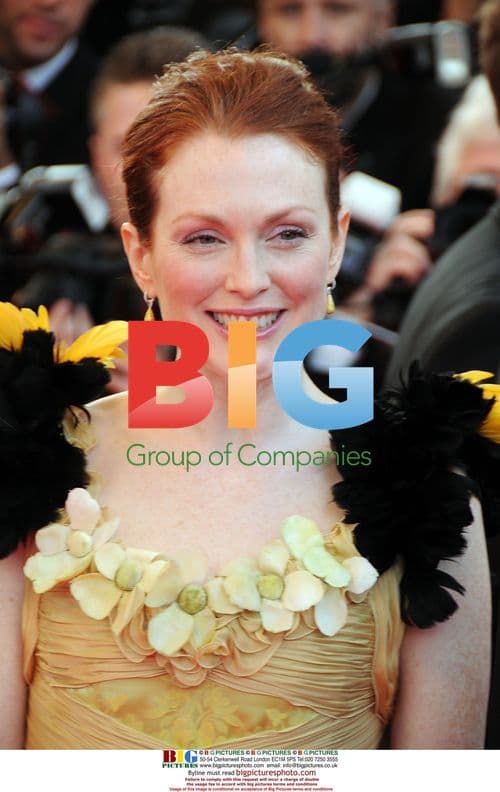 Arrivals at 'Blindness' premiere, Cannes 2008