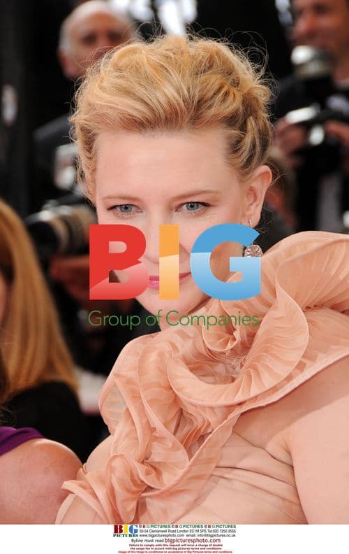 Cate Blanchett at 'Blindness' premiere, Cannes 2008