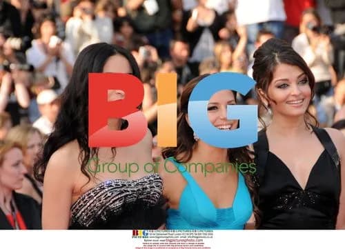Arrivals at 'Blindness' Cannes Premiere
