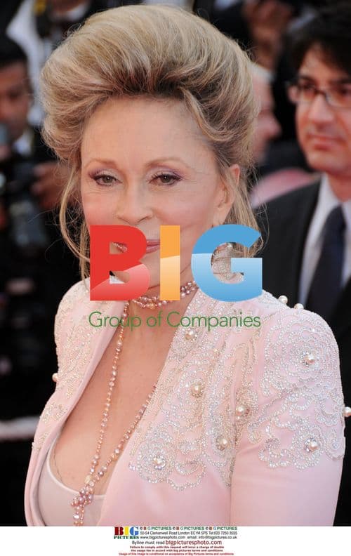 Faye Dunaway at 'Blindness' Cannes Premiere