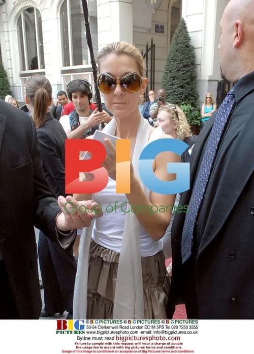 Celine Dion Arriving at Brussels Hotel