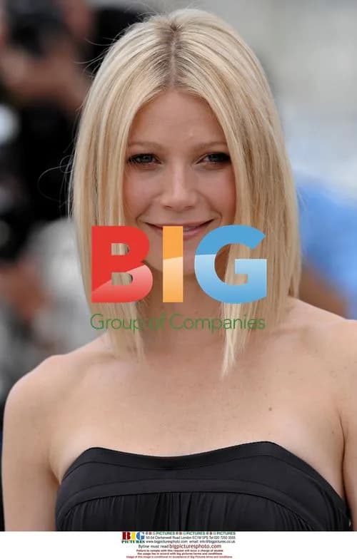 Gwyneth Paltrow at Two Lovers Photocall