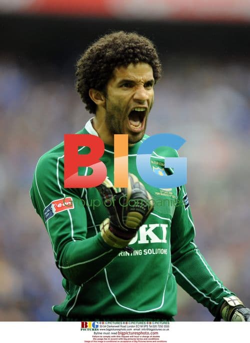 FA Cup Final, Cardiff City vs Portsmouth