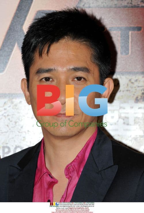 Tony Leung at Cannes 'Red Cliff' Photocall