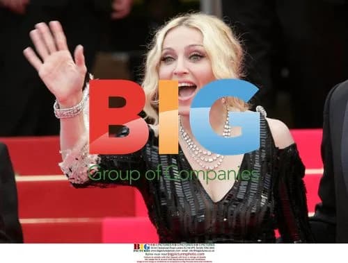 Madonna at 'I Am Because We Are' Premiere