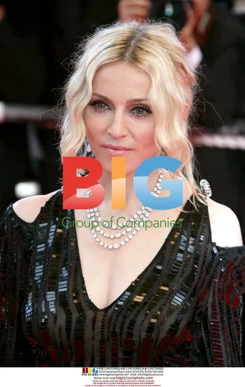 Madonna at 'I Am Because We Are' Premiere