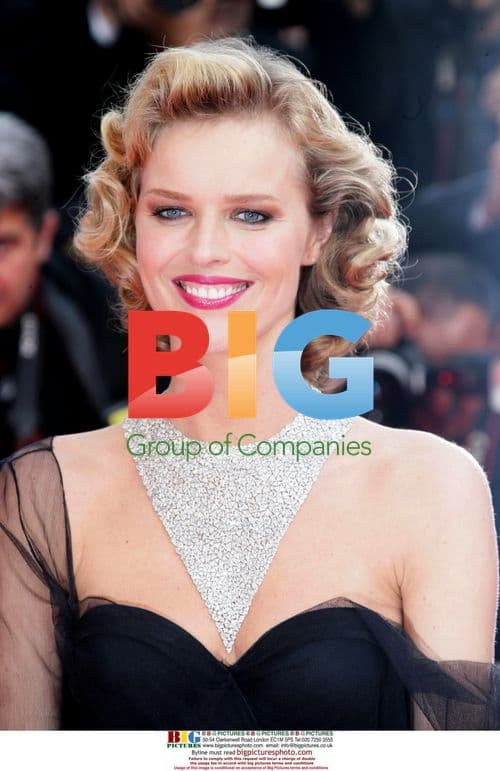 Eva Herzigova at Cannes 2008