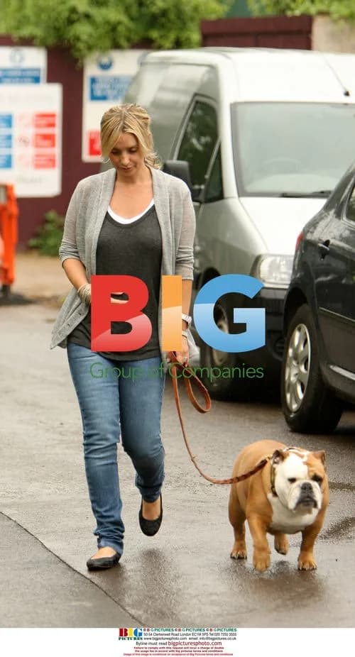 Pregnant Louise Redknapp walks dogs